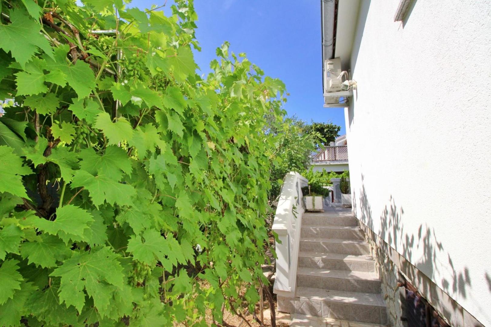 שילו Apartments Zlatica מראה חיצוני תמונה